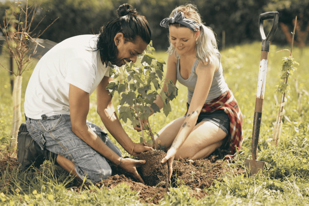 casal plantando uma árvore juntos