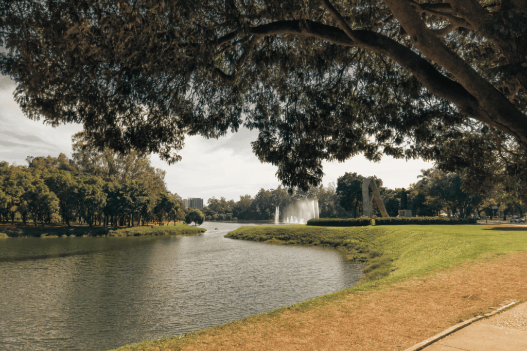 paisagem do parque do ibirapuera em SP